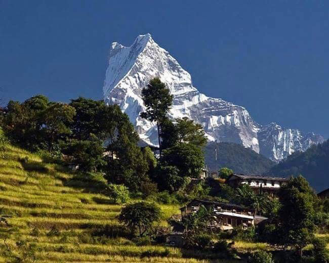 NEPAL #25