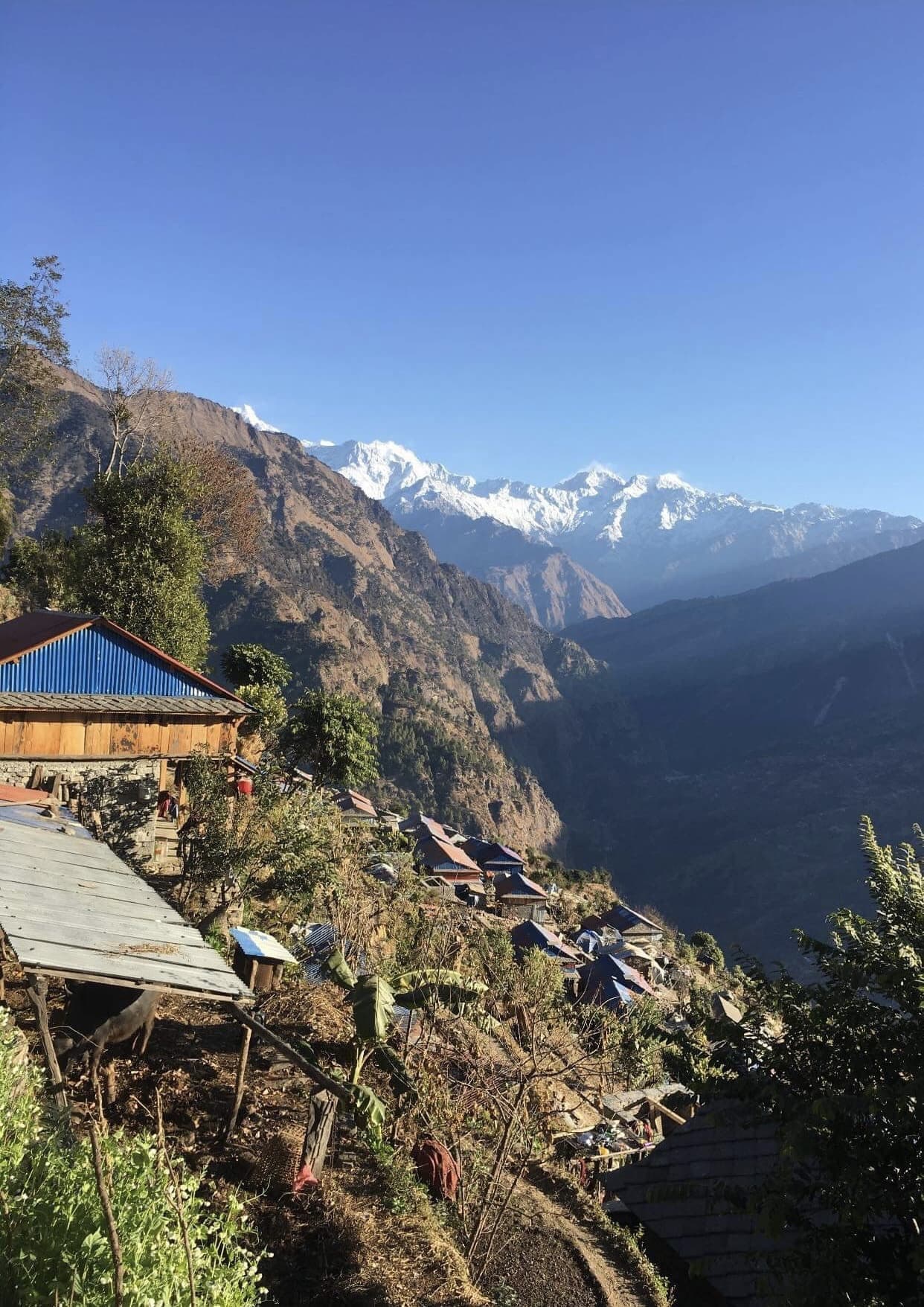 NEPAL #39