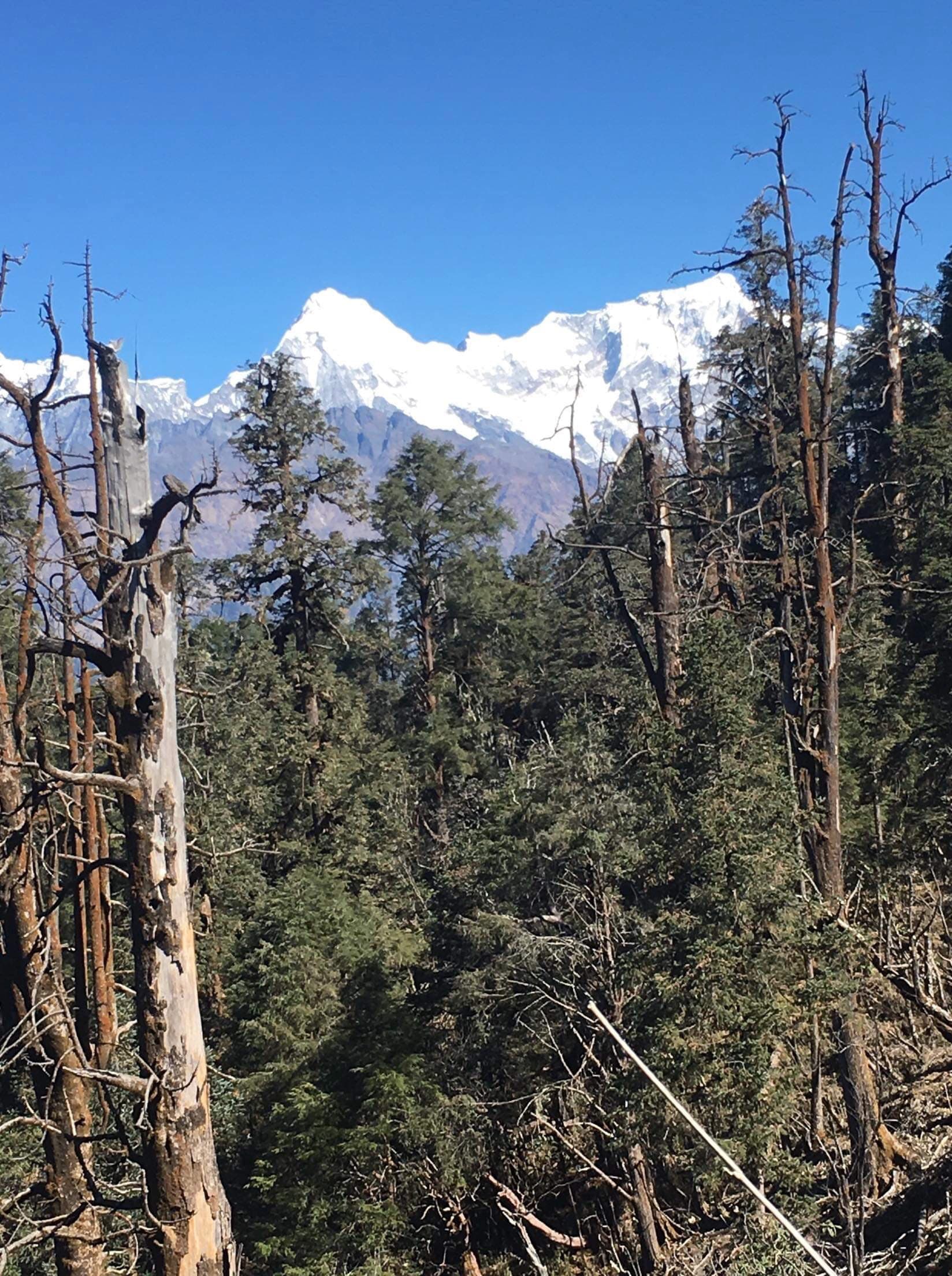 NEPAL #46