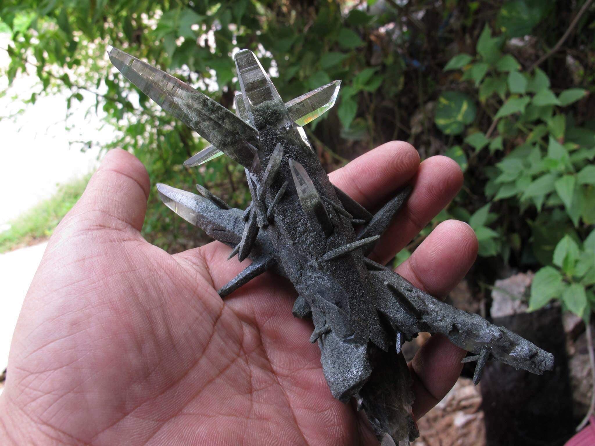 PROCESSING #19